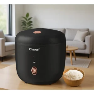Compact 2 Cup Mini Rice Cooker